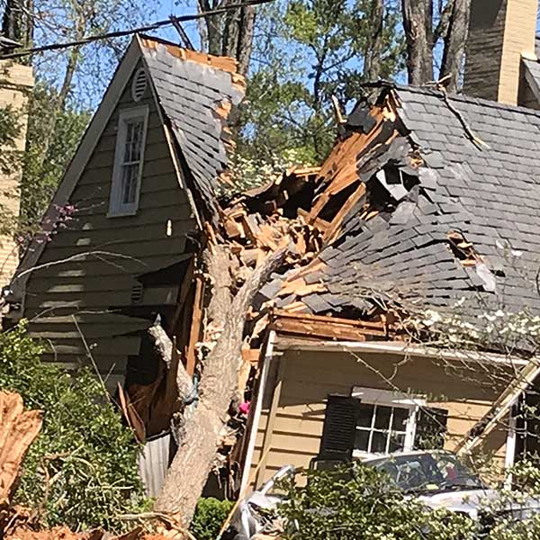 Fallen tree on a top of a beige house, destroyed roof after a storm damage