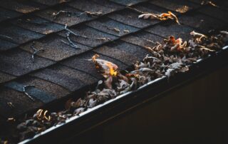 Gutter Services in Minnesota