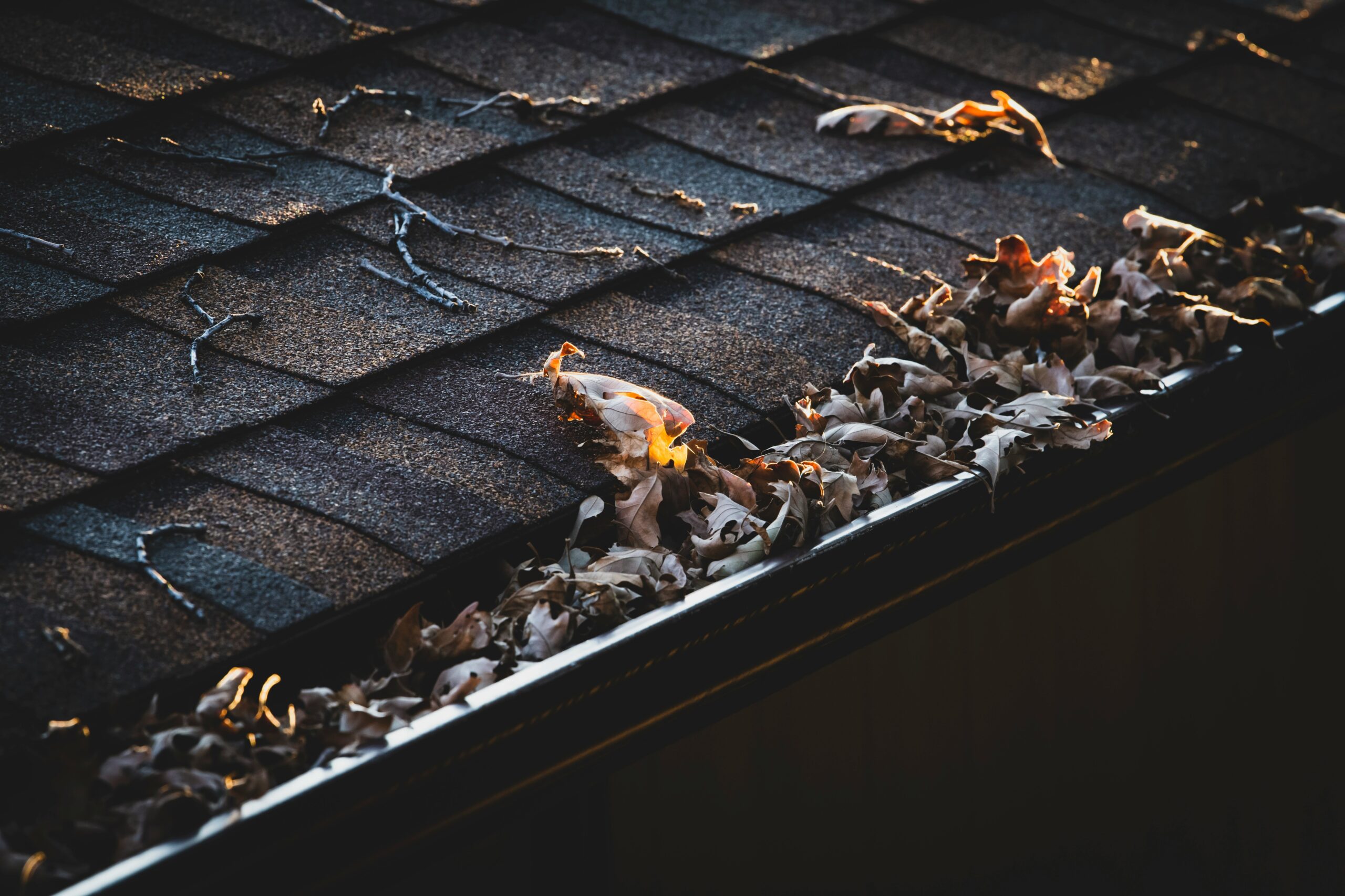 Gutter Services in Minnesota
